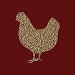 EC-P – Economy class compound feed for poultry