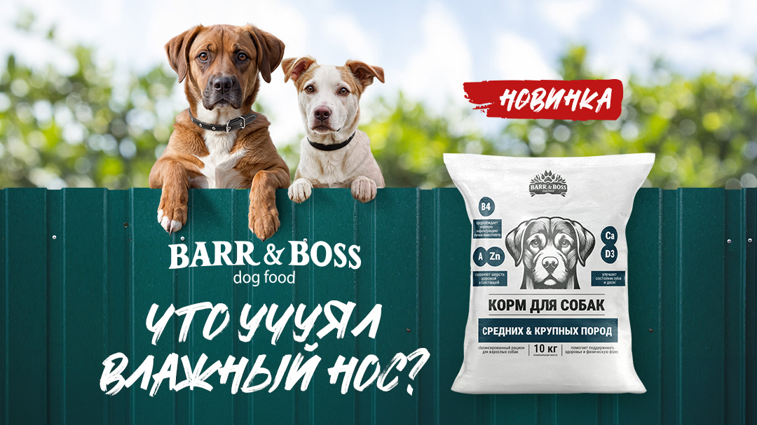 ВНИМАНИЕ!!! Новинка для собак средних и крупных пород - корм BARR&BOSS